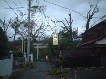 市 被害 伊東 台風 台風１５号 軽傷１３人、住宅被害４２棟