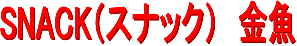 �É�����O��s�X�i�b�N����
