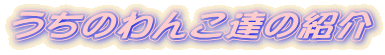 �����̂�񂱒B�̏Љ�