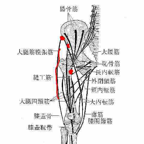 骨頭 靭帯 大腿 股関節痛を生じた大腿骨頭靭帯断裂の１例 [医学・薬学予稿集全文データベース