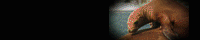 photoban.gif