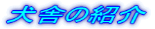 ���F�B�g�o���a�k�n�f