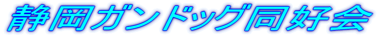 �É��K���h�b�O���D��
