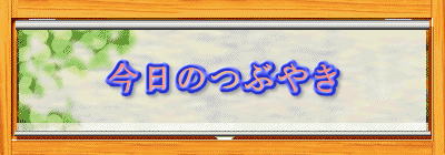 今日のつぶやき 