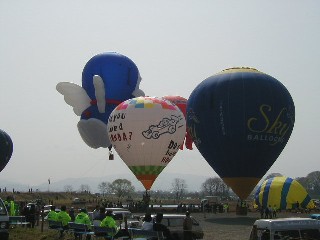 ���v�o���[���t�F�X�e�B�o��2001