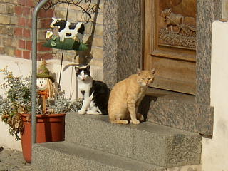 Die Katze von Lorsch@iVj