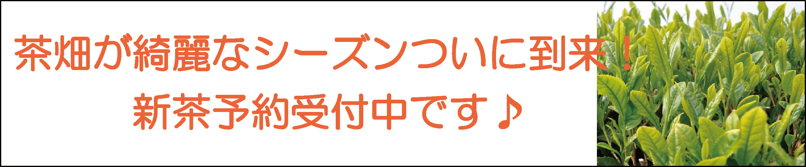 �V�����